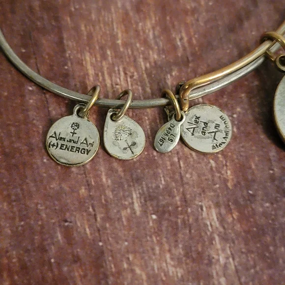 Alex and Ani "Four Leaf Clover"  Bangle Bracelet - Retired - Picture 6 of 7